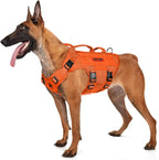 Dog outdoor hiking with OneTigris tactical harness
