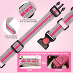 QDYU padded pet collar with durable alloy hardware for medium breeds