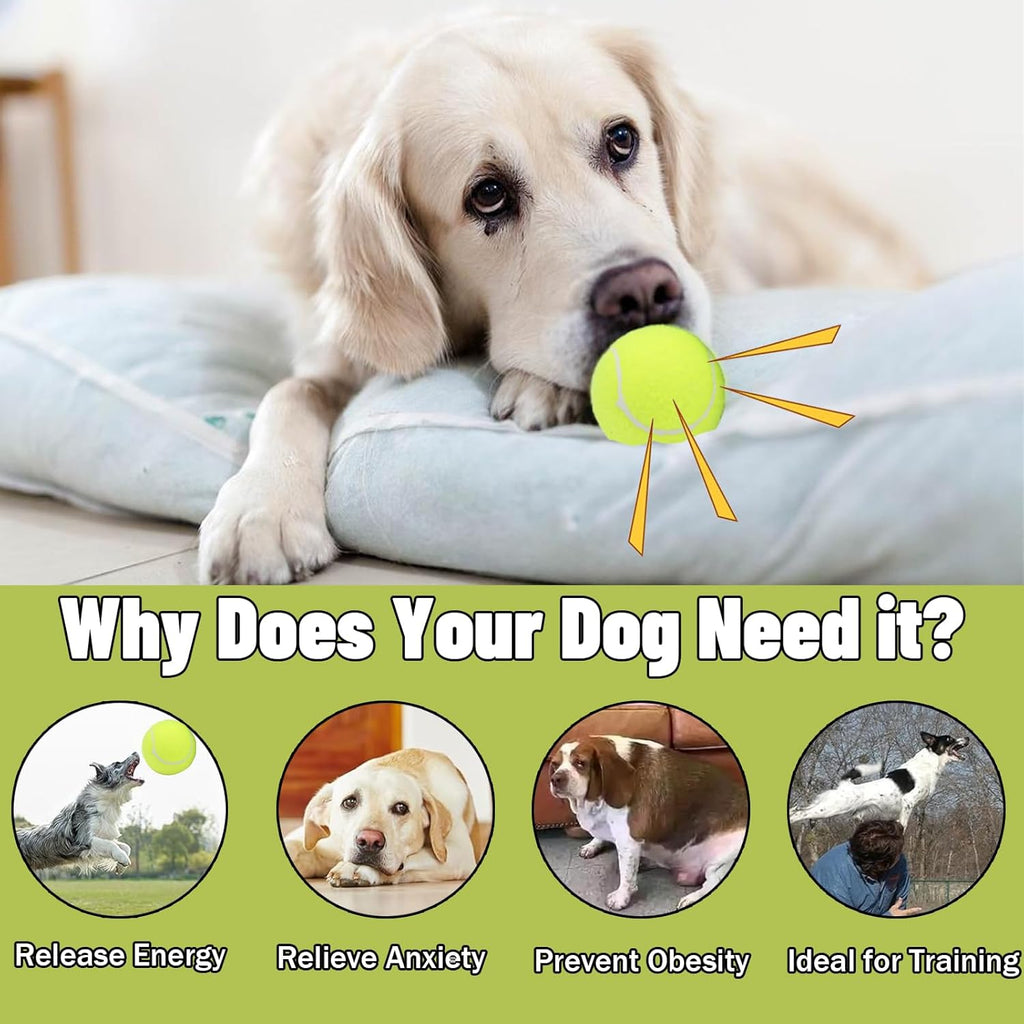 Magicorange dog fetch balls showing multicolor design