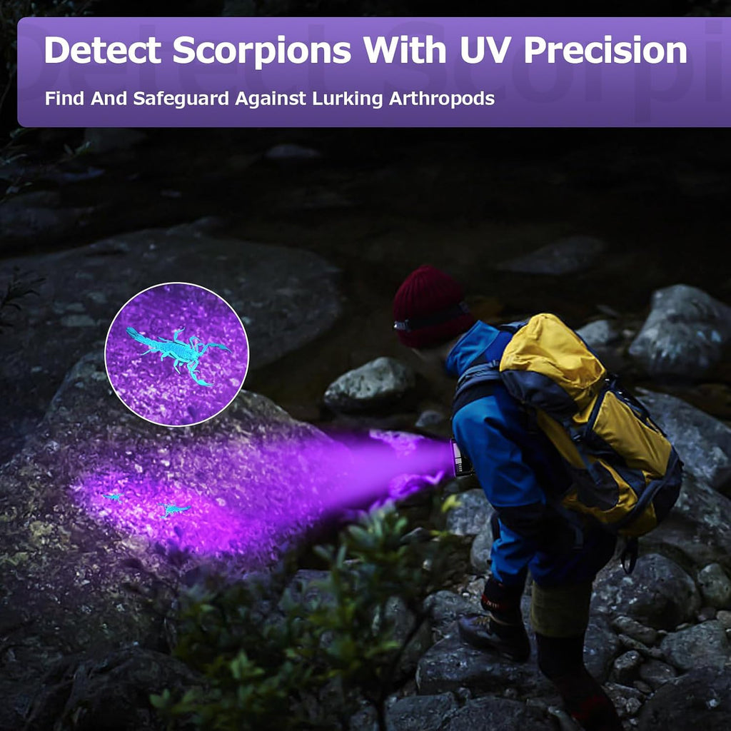 Benss UV inspection light checking the authenticity of currency notes and official identification cards.