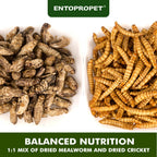 Entopropet high calcium bearded dragon snack packaging side