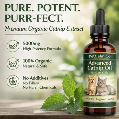 PetCalm Co Advanced Catnip Oil sixty milliliter amber glass bottle with dropper lid