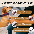 Durable buckle and adjustable strap features of the Anglevate collar