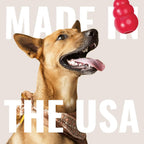 KONG Aqua floating fetch toy with packaging