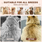 CityinSky pet steam brush with water tank details