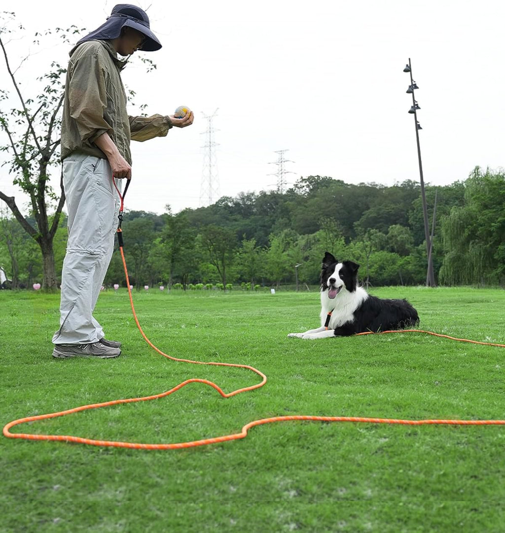 Taglory dog obedience training lead with three hundred sixty degree rotating hook.