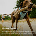 Ruffwear Front Range Flex harness side profile with buckle