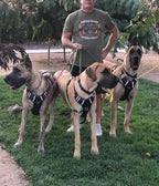 MayPaw imported durable rope dog leash packaging and details