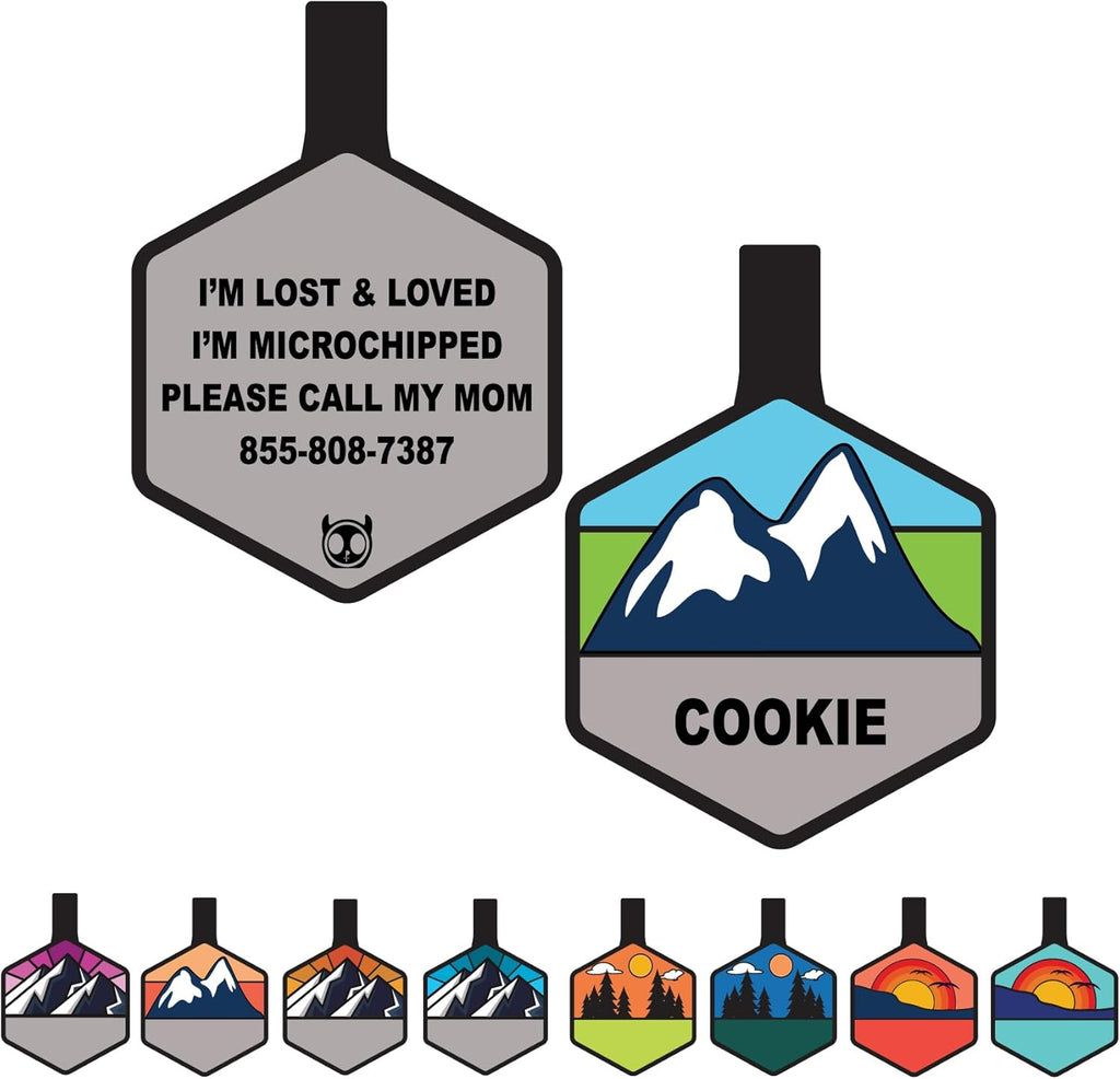 Engraved pet safety tag with clear visible phone number and microchip ID lines.