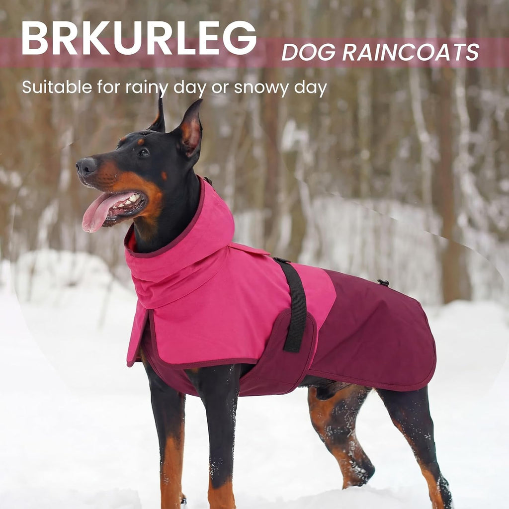 BRKURLEG XXL dog rain apparel packaging and full length lifestyle view