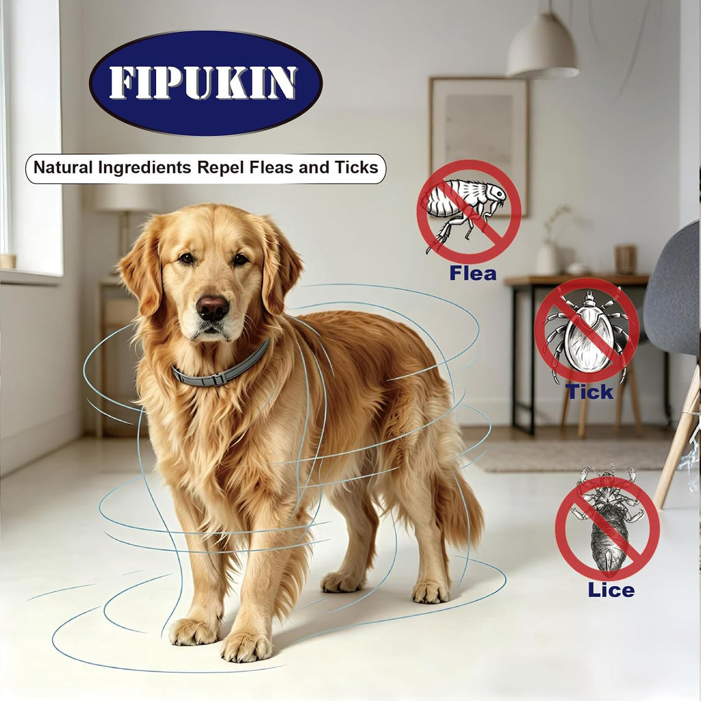 Fipukin dog collar with included tick removal tool