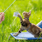 NOWFRESH Cat Fishing Rod Toy lightweight acrylic handle safety details view
