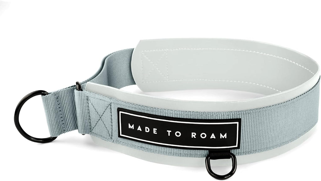 MADE TO ROAM Premium Everyday Dog Collar - Martingale Style No Pull Vegan Leather Collar, Heavy Duty and Lightweight for Small, Medium, Large Dogs (California Horizon, Size 7) - Image 10