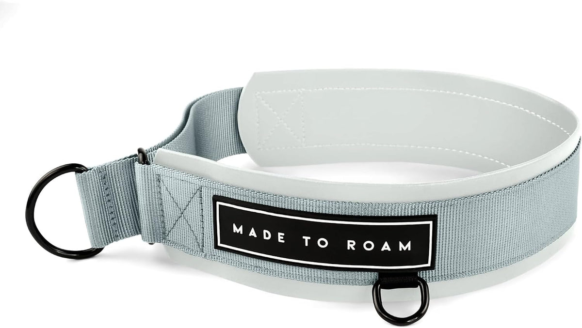 MADE TO ROAM Premium Everyday Dog Collar - Martingale Style No Pull Vegan Leather Collar, Heavy Duty and Lightweight for Small, Medium, Large Dogs (California Horizon, Size 7) - Image 10