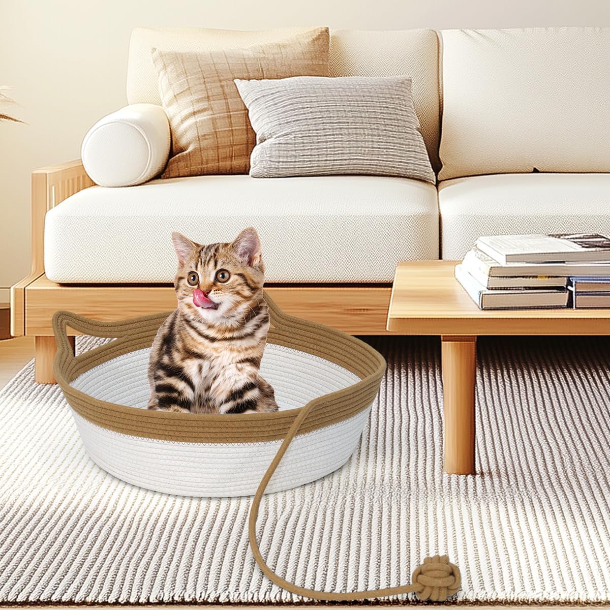 Cat resting inside round woven rope basket bed