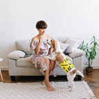 UNIPUP high absorption dog diaper wrap showcasing the comfortable fit profile for medium large breeds