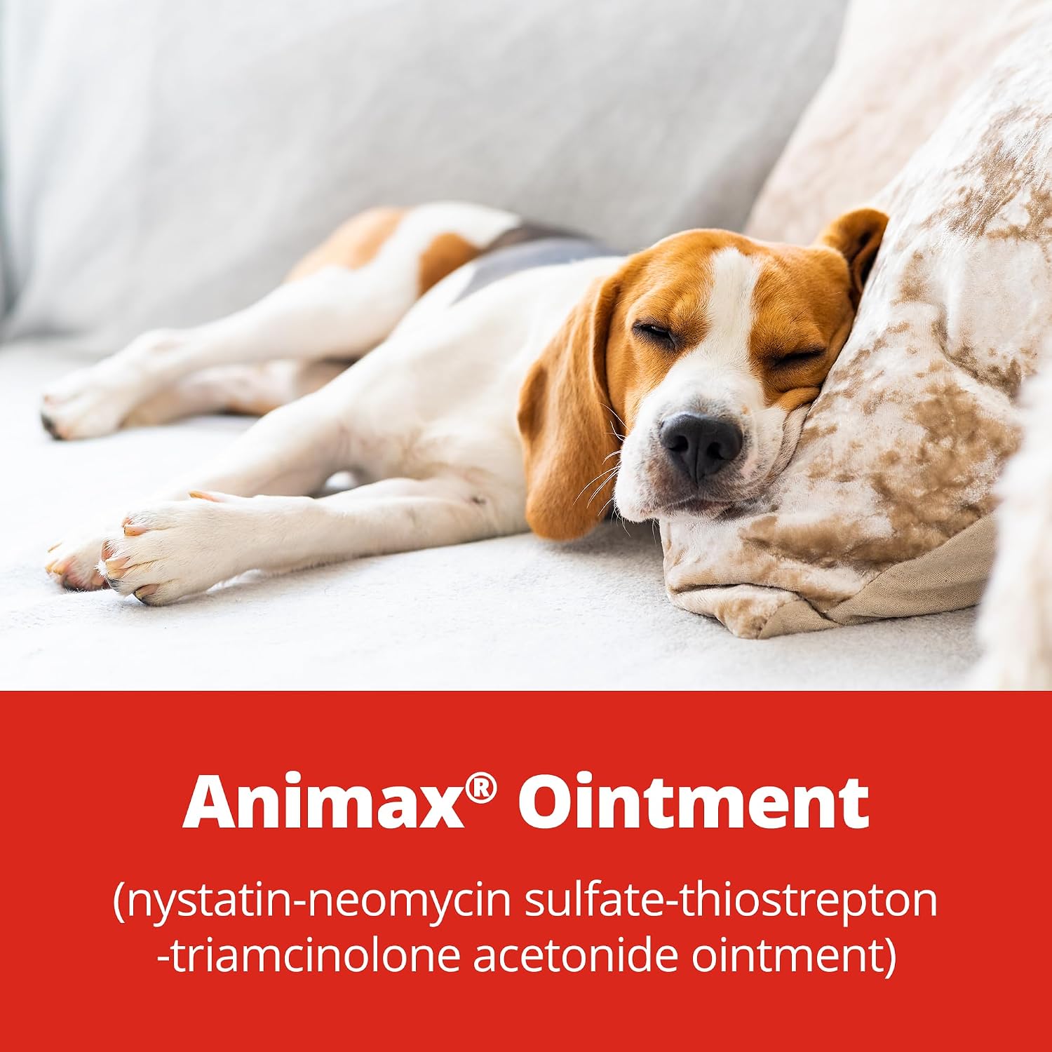 Animax medicated topical ointment 7.5 mL packaging