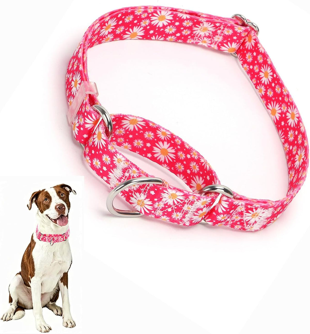 Premium imported USA soft nylon collar for secure dog walking.
