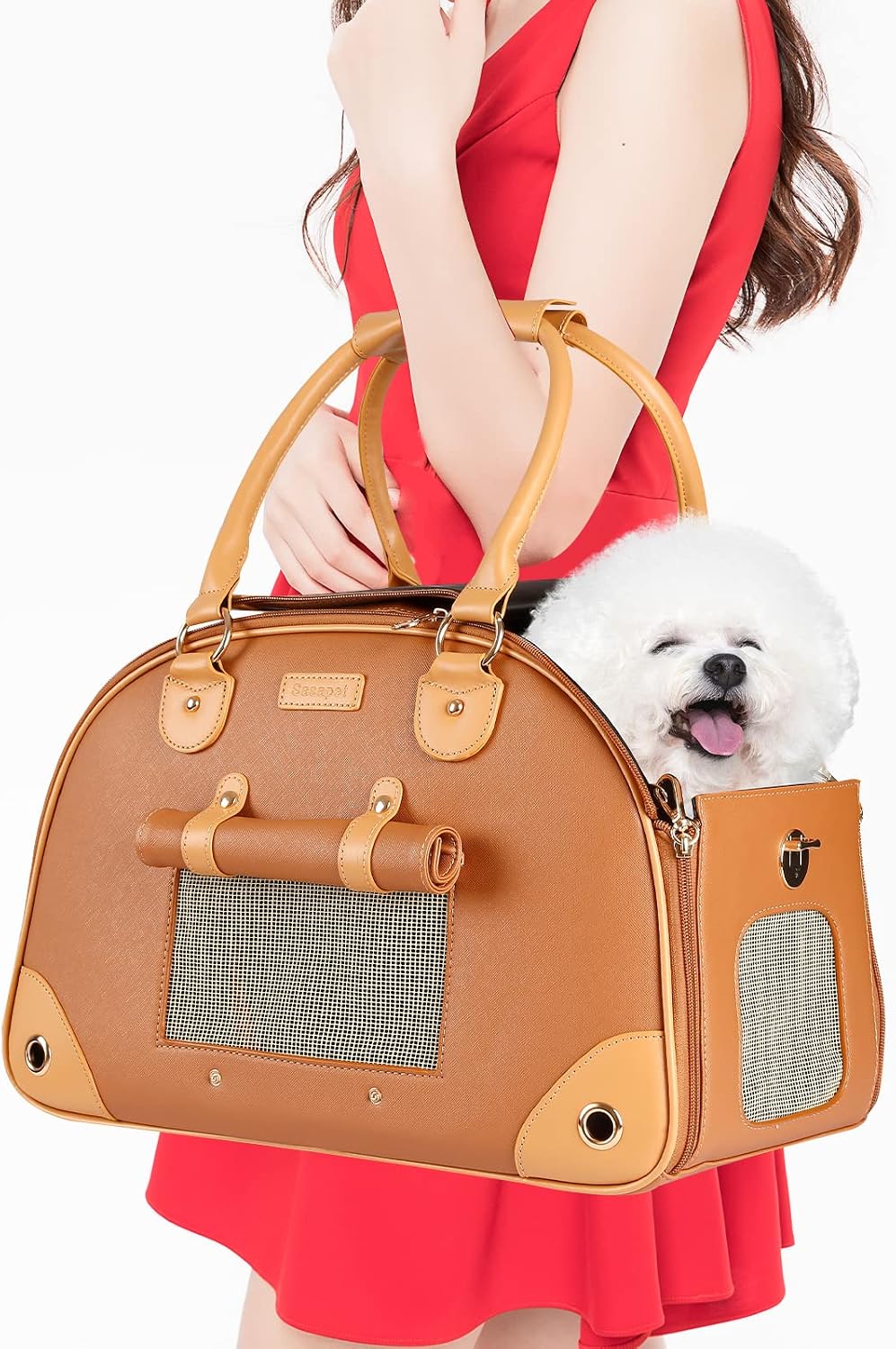 Dimensions overview of Sasapet pet travel bag