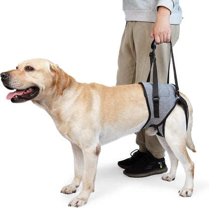 Dotoner dog sling for large dogs rear view