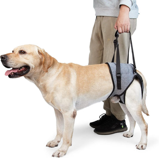 Dotoner dog sling for large dogs rear view