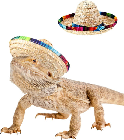 SEZDEKI bearded dragon sombrero hats front view showing classic straw weave and colorful serape border.