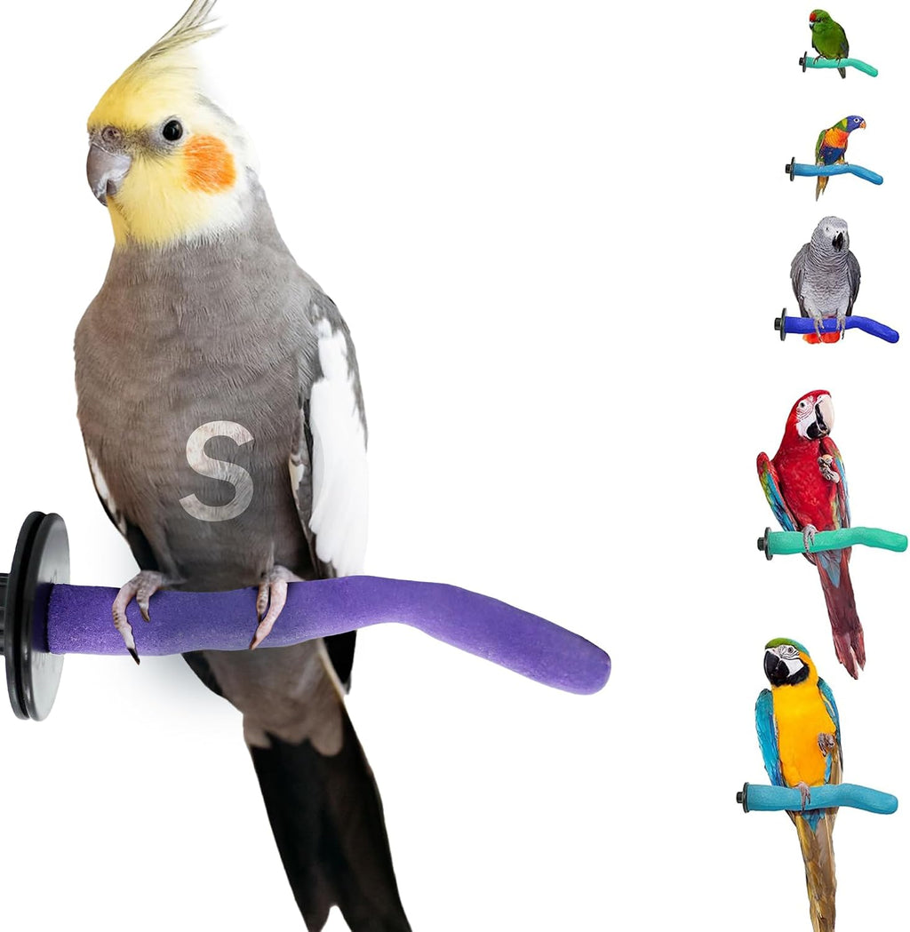 Sweet Feet and Beak Safety Pumice Bird Perch, Small Pedicure Perch, Green - Image 12