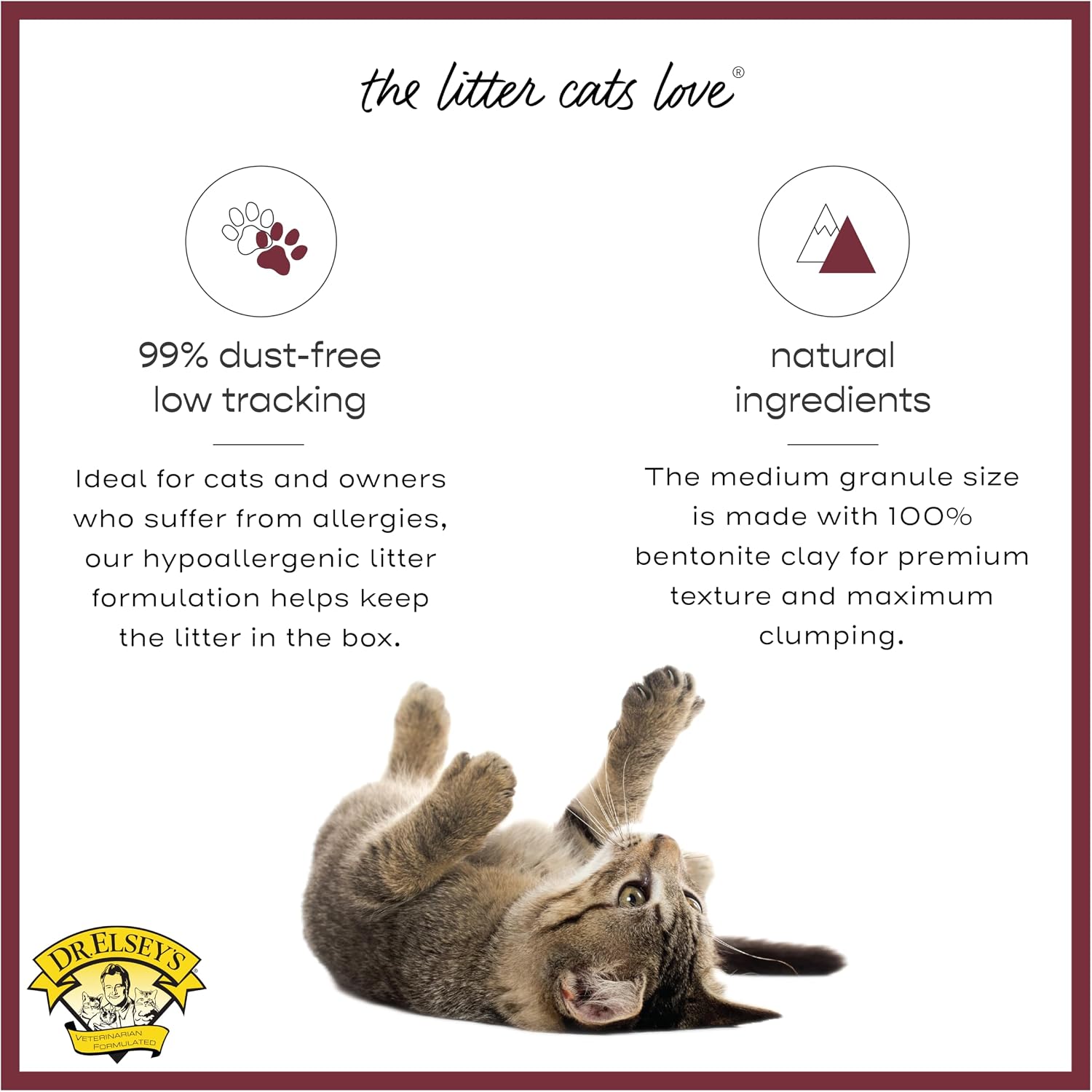 Dr. Elsey's 40 lb bag next to a clean cat litter box