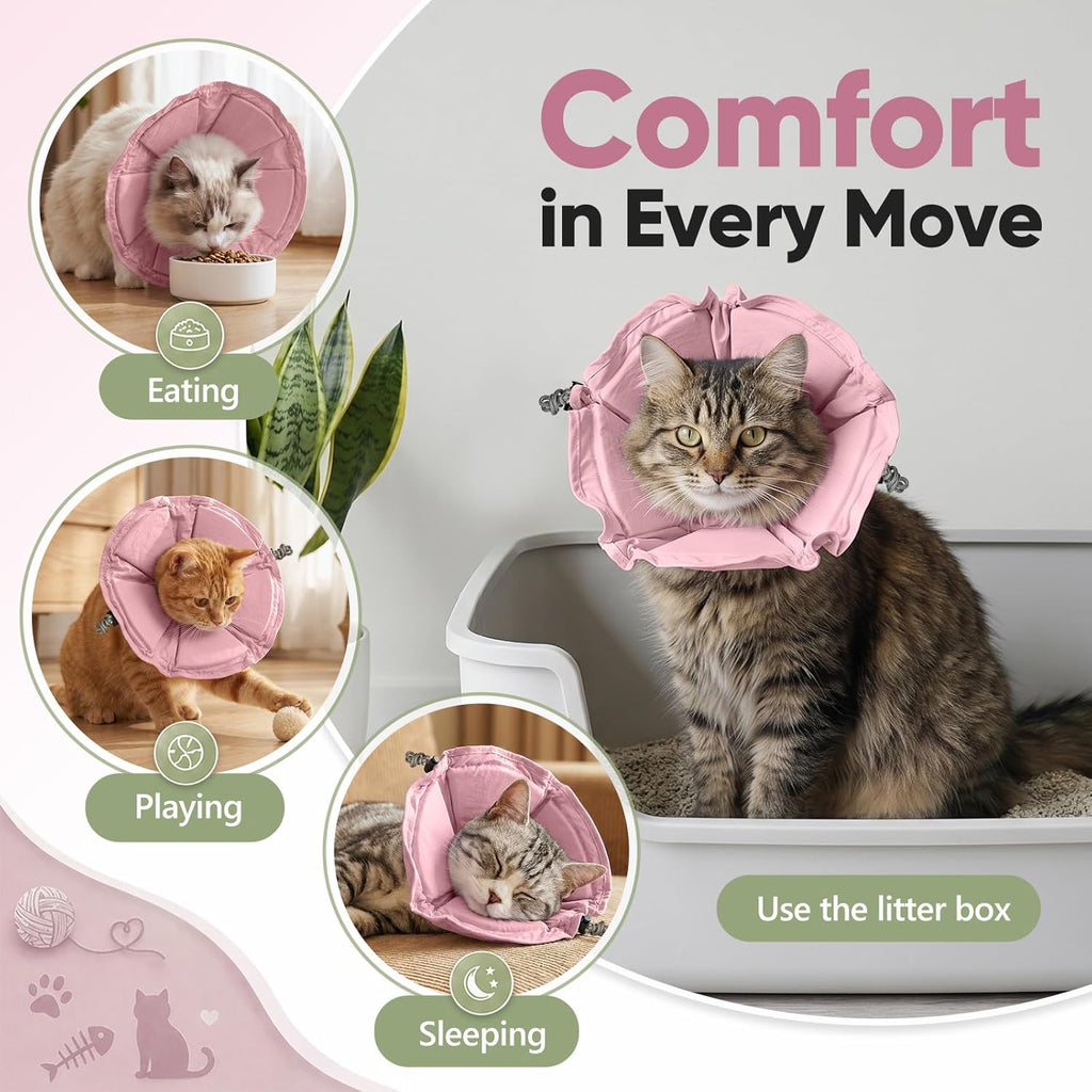 Pawfun small pink cat cone adjusted for clear vision during eating