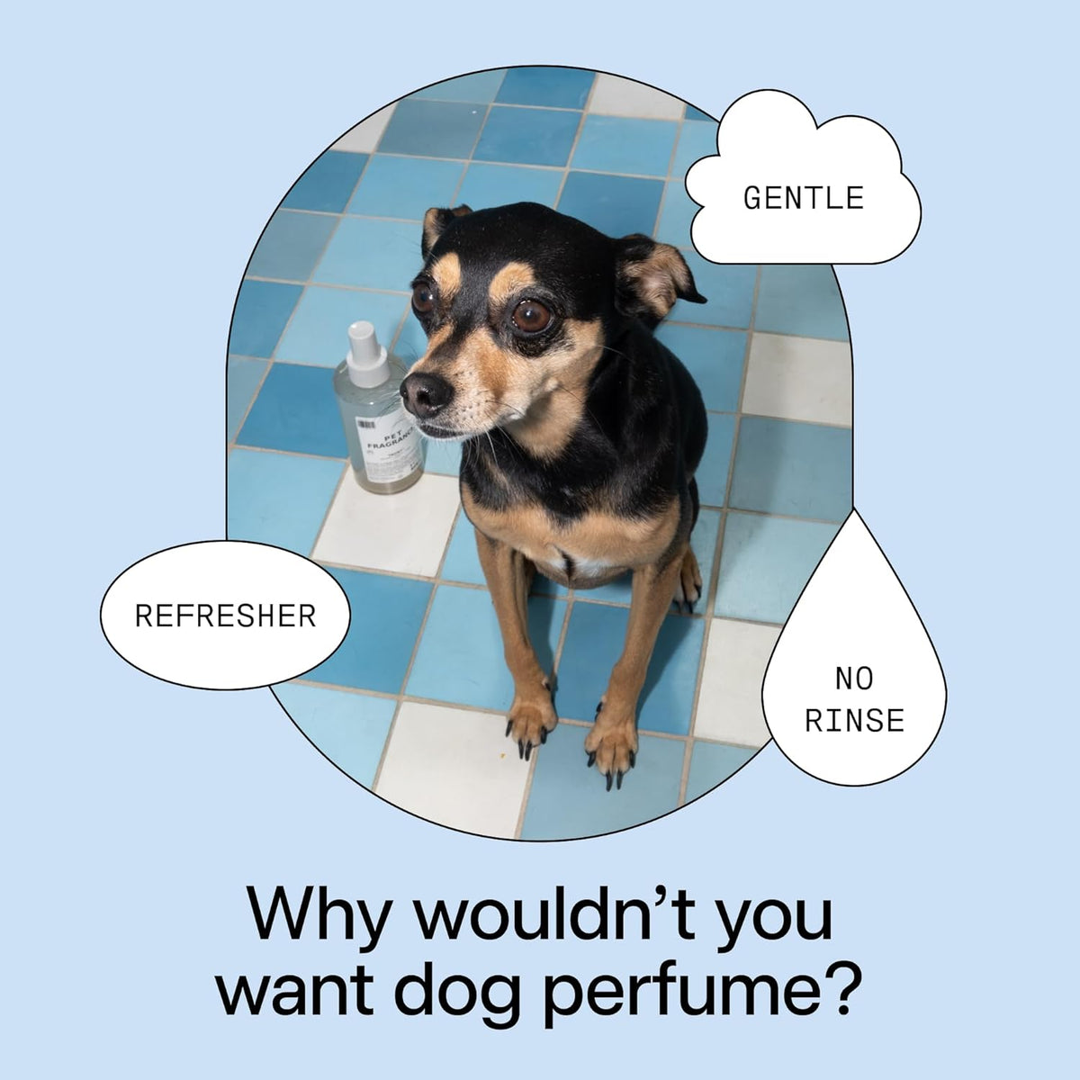 Back of bottle showing ingredients for DedCool Pet Fragrance