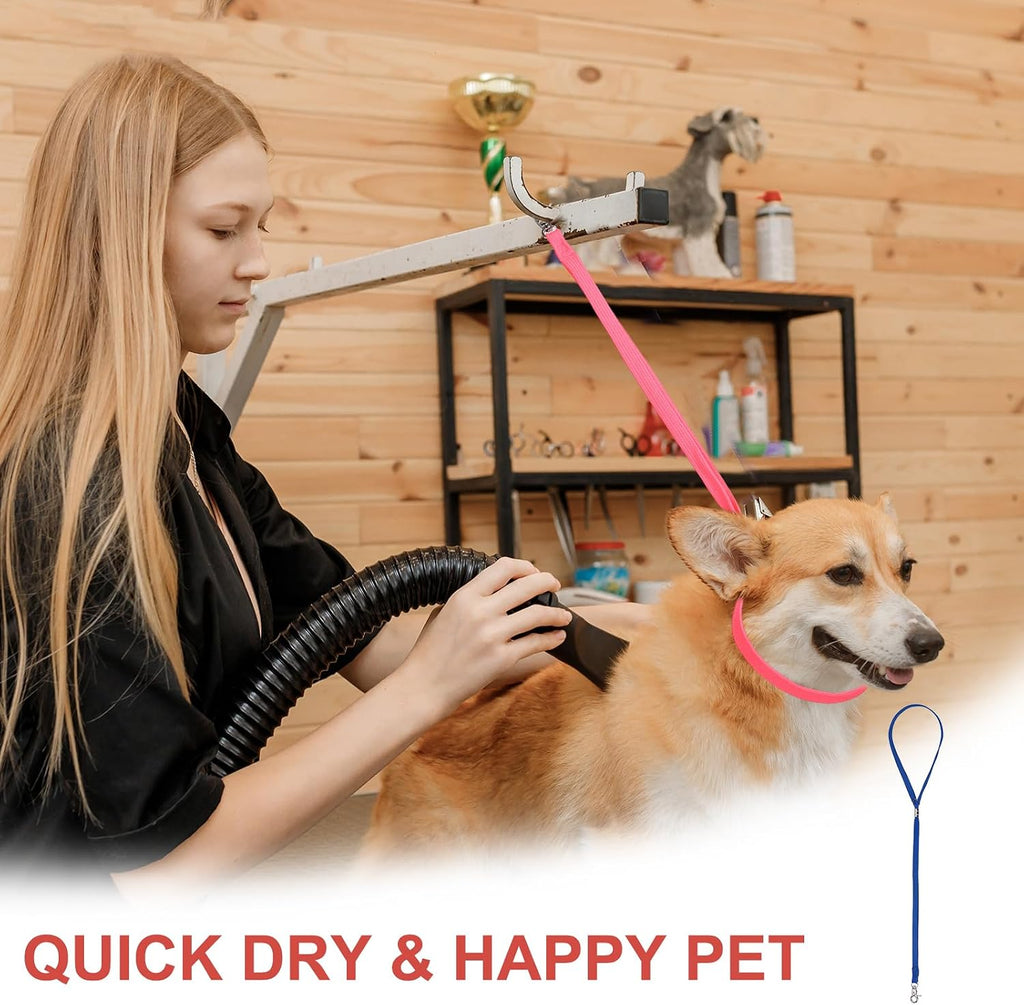 Pet grooming helper loop attached to table arm