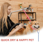 Pet grooming helper loop attached to table arm