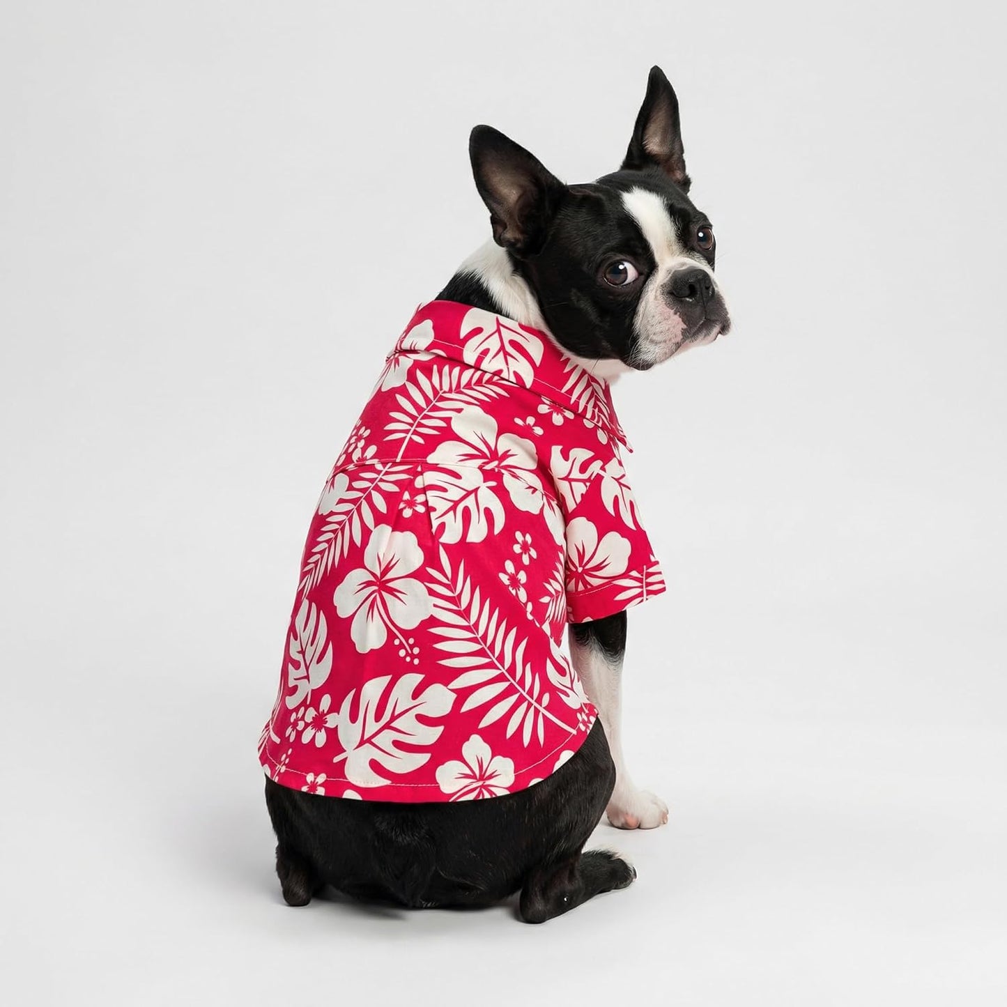 Close up of tropical red and white floral pattern on dog shirt
