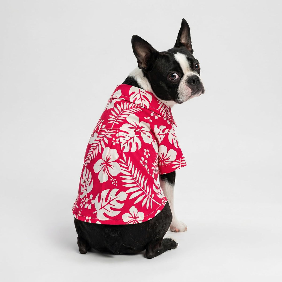 Close up of tropical red and white floral pattern on dog shirt