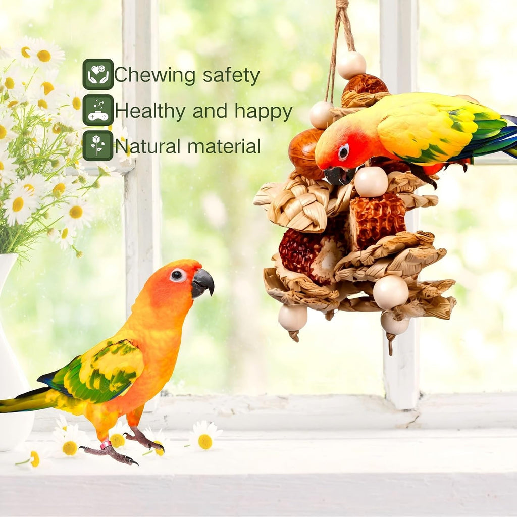 XLpeixin interactive bird cage accessory in use