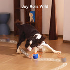 Lifestyle shot of medium dog playing with blue Wicked Ball Rolly