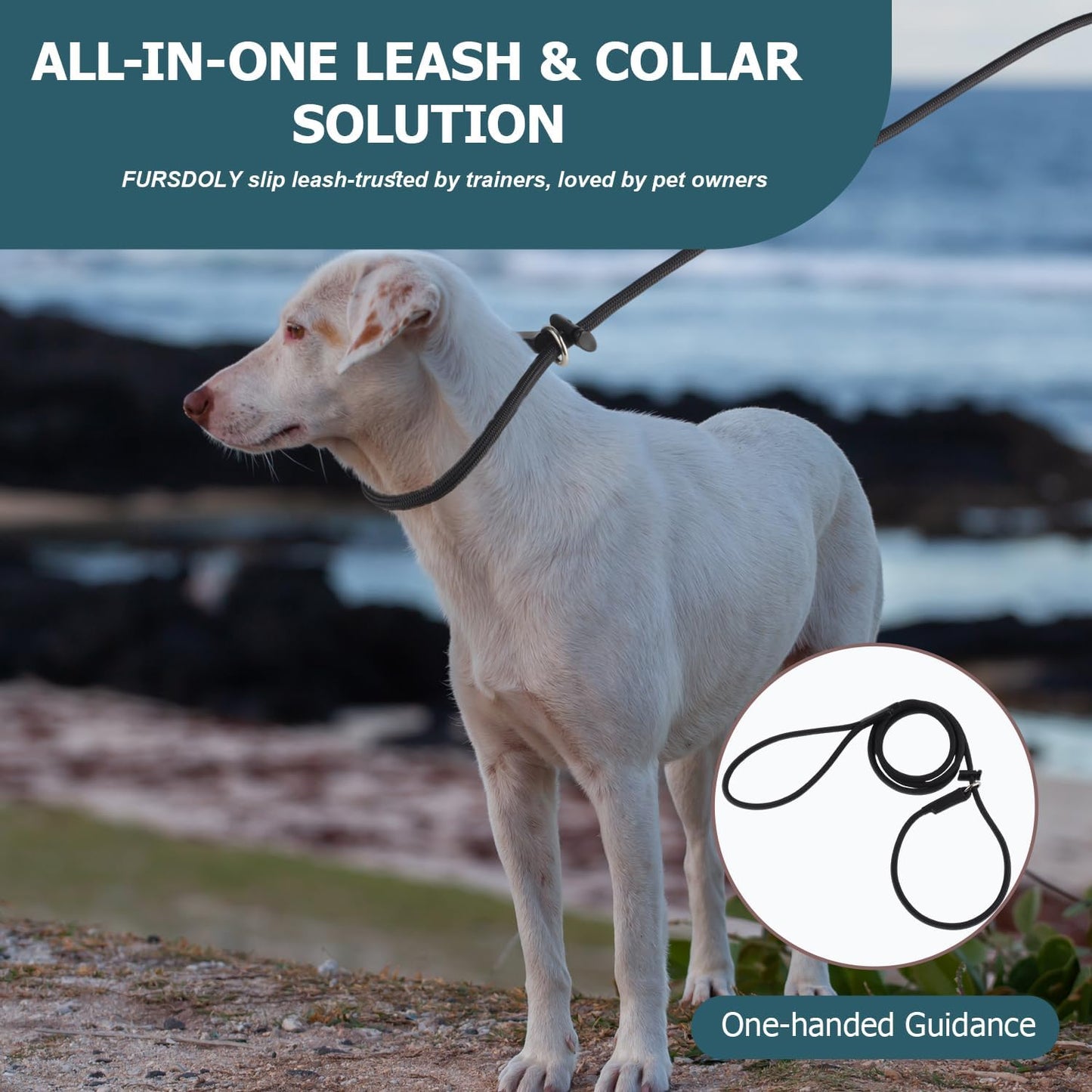 Fursdoly professional pet training slip lead with limiter slide stop