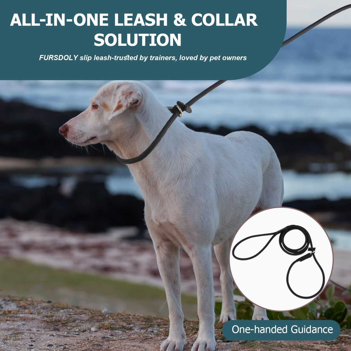 Fursdoly professional pet training slip lead with limiter slide stop