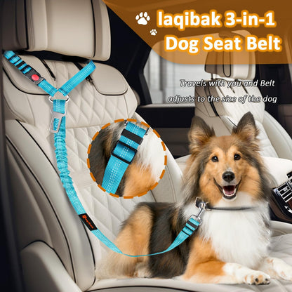 Adjustable reflective bungee dog seatbelt for cars