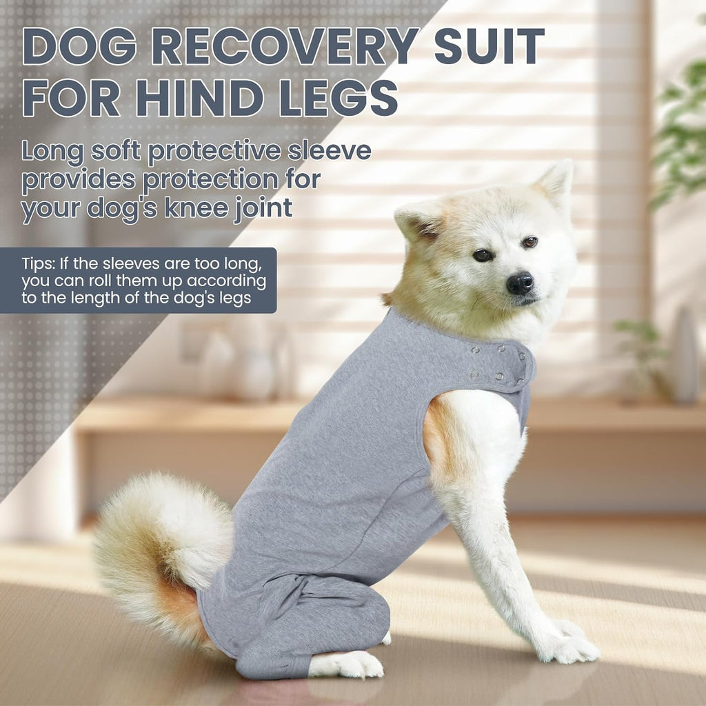 IDOMIK surgical suit for dogs back view showing the zipper design