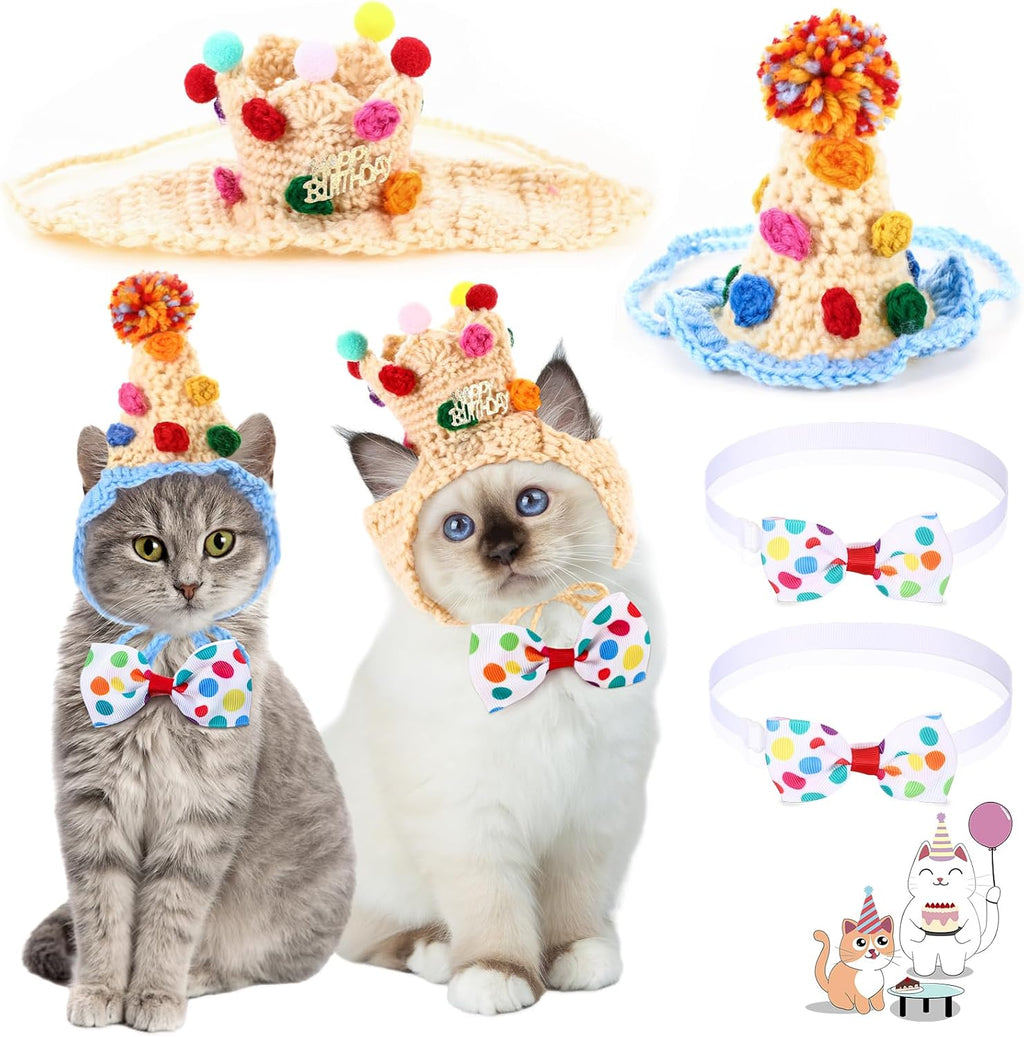 Kitten styled in festive American theme costume accessories