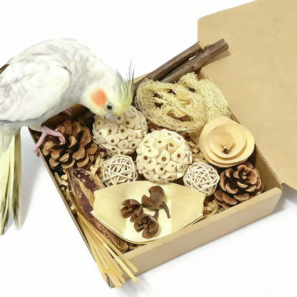 PINEPOP bird toy box packaging and natural components layout.