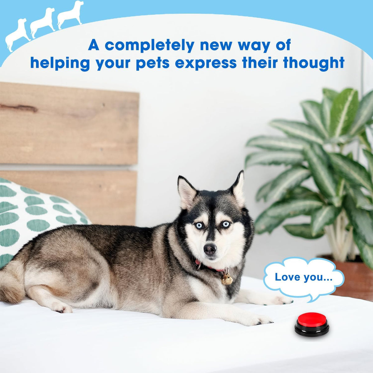 Clear audio thirty second record and playback pet buzzer set on a wooden floor.
