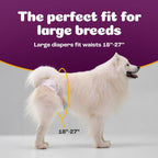Disposable leakproof female doggie nappies for training and incontinence