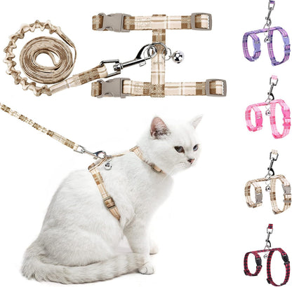 BEAUTYZOO safe control pet harness buckle closure detail view