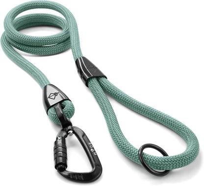 MADE TO ROAM Premium Explorer Leash - Climbing Rope Leash with Autolocking Aviation Aluminum Carabiner - California Horizon, 6ft - Image 14
