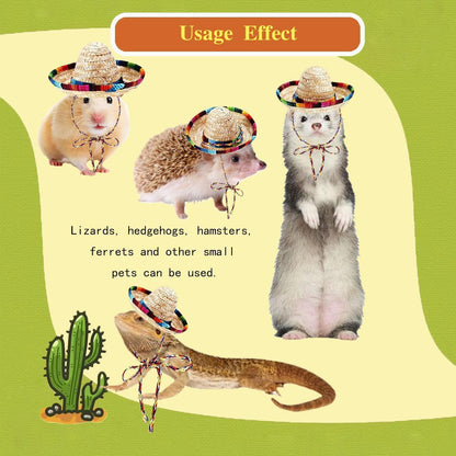 DHinkyoung reptile apparel kit showing dimensions of the pet hats