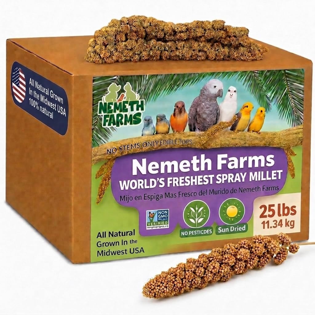 Nemeth Farms Spray Millet - Edible Tops Only, Non-GMO and Sun-Dried - 1 lb for Parakeets, Canaries and Finches - Image 10