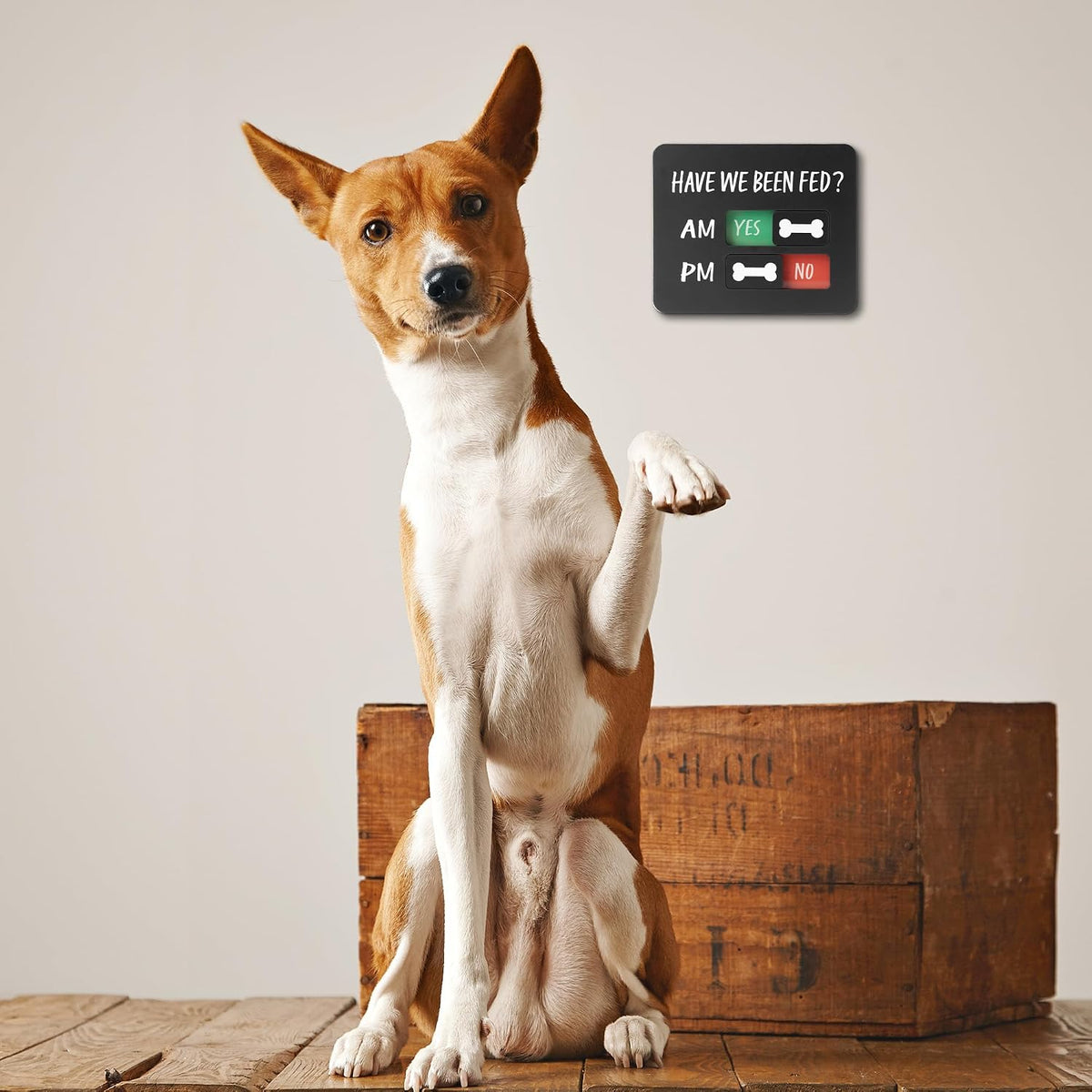 EliteSign pet meal reminder being operated manually by a family member