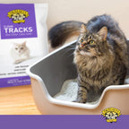 Dr. Elsey's Clean Tracks Clumping Clay Cat Litter low dust pouring illustration